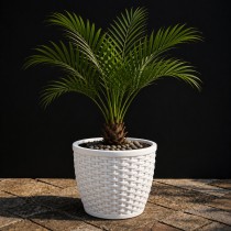 8 inch matt classic pot white colour