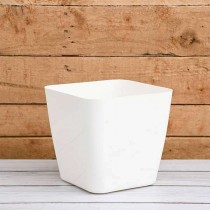 3 inch Square pot white colour  
