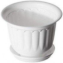 10 Inch Plastic Jasmine Pot
