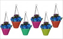 8 Inch Hanging Juhi Pot