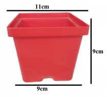 4 inch Gift a Plant pot Assorted Color