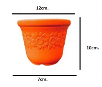 5 Inch Sunny Pot Assorted Color