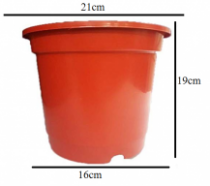 8 Inch Nursery Red Pot 