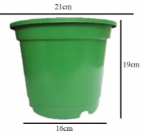  8 Inch Nursery Green pot