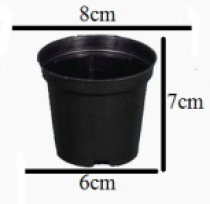 3 Inch Nursery Black Pot