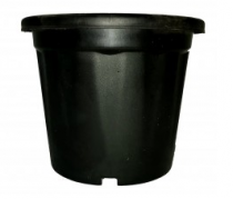 10 Inch Nursery Black Pot
