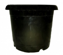 8 Inch Nursery Black pot 