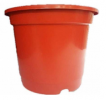 8 Inch Nursery Red Pot 
