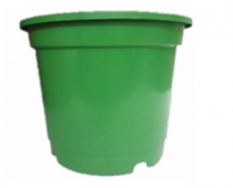  8 Inch Nursery Green pot