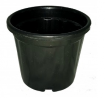 6 inch Nursery Black Pot 