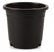 4 Inch Nursery Black Pot 