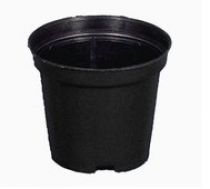 3 Inch Nursery Black Pot
