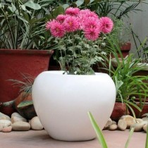 12 Inch Apple pot -white coior 