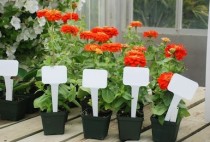 Plant tag