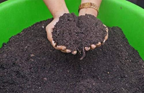 leaf mold compost 5kg 