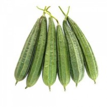 Ridge Gourd (Tori) seeds