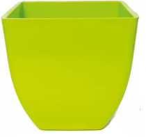 5 inch Square pot green colour
