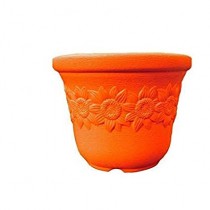5 Inch Sunny Pot Assorted Color