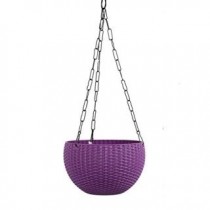 6 Inch Hanging Euro Basket -purple color