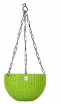 6 Inch Hanging Euro Basket -green colour