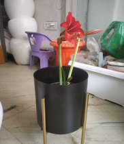 8/8 Inch Metal indoor pot