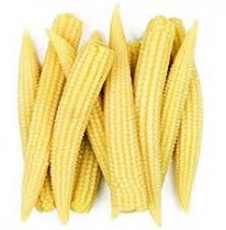 Babycorn seeds 