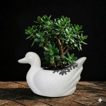 duck pot white color