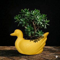 duck pots yellow color