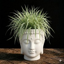 10 Inch Face  Pot - White Colour
