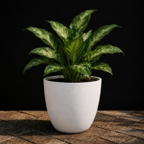 14 inch orchid round pot white color