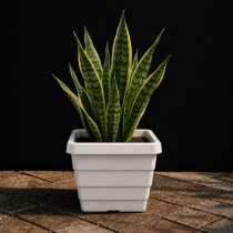 8 inch Orchid square Marble Pot white Color