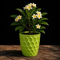 8 inch royal pot green colour