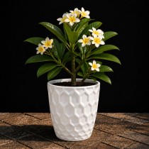 8 inch royal pot white colour