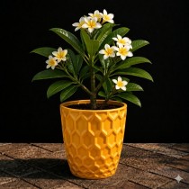 8 inch royal pot yellow colour