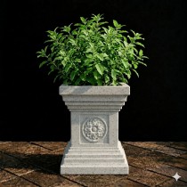 9 Inch Jaguar Tulsi Pot 