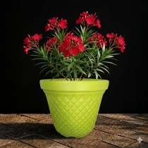 8 inch velvet pot green colour