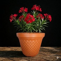 8 inch velvet pot orange colour