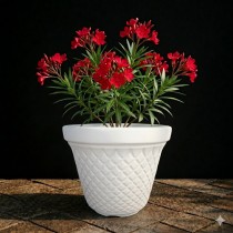 8 inch velvet pot white colour