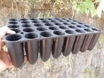 40 Cavity Root Trainer Tray