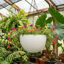 6 inch Cerena Hanging Basket White colour