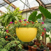6 inch Cerena  Hanging Basket Yellow Colour