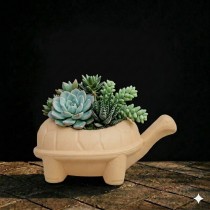 tortoise pot biege color