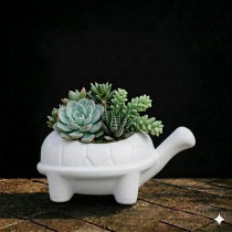 tortoise pot white color