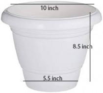 Eco Pot Milky White 10 inch