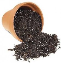 Potting Mix 1.5 Kg