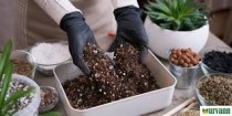 Potting Mix 1.5 Kg