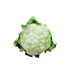 cauliflower june-july Sowing