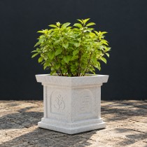 10 Inch Tulsi Pot Roto Mould Grow Green 