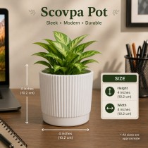 4 INCH SCOVPA POT  GN