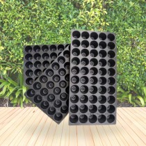 50 holes Seedling Tray Pack of 10 